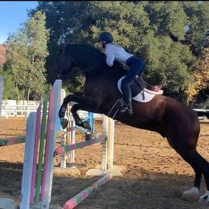 Meet your Posher, Alexa